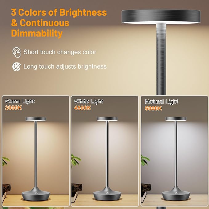 Cordless Table Lamp Outdoor