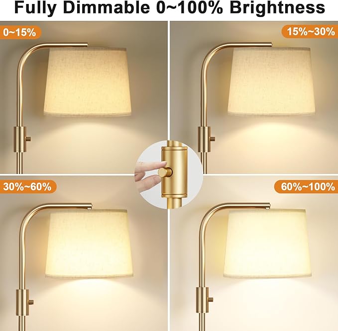 Ambimall Fully Dimmable Floor Lamp