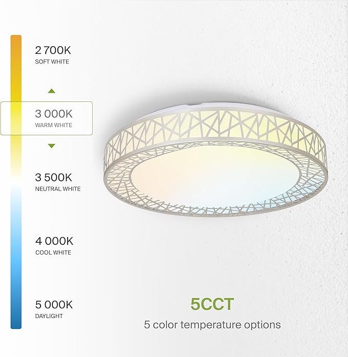 ASD 18 Inch LED Flush Mount Ceiling Light Fixture