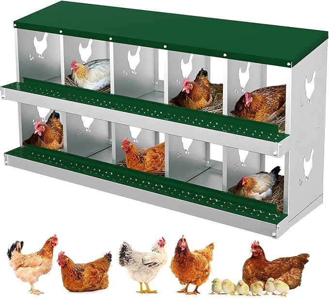 10-Compartment Metal Chicken Nesting Box - with Perch, Secure Lid & Metal Legs, Wall-Mount or Free-Standing Nesting Boxes for Hens