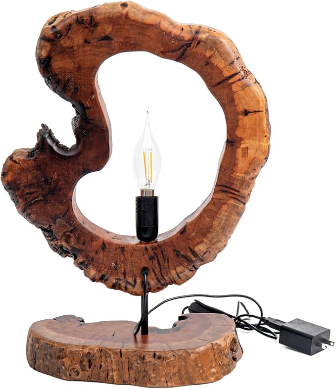 LAPTAIN Wood Table Lamp, Irregular Jujube Tree Wooden Bedside Lamp, Creative