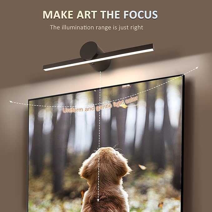 ZitoStory Battery Operated Picture Light
