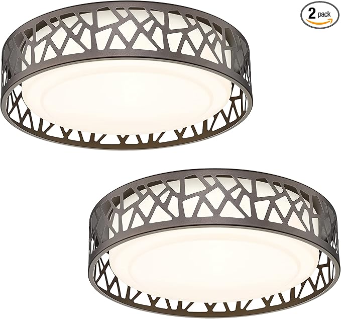 LED Flush Mount Ceiling Light 2 Pack, 14 Inch 20W Dimmable Round Deco Lighting