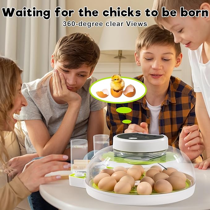 18 Egg Incubator with Automatic Turning & Humidity Control, 0.1 Precision for Chicken/Duck/Goose/Quail/Parrot Eggs (Green)