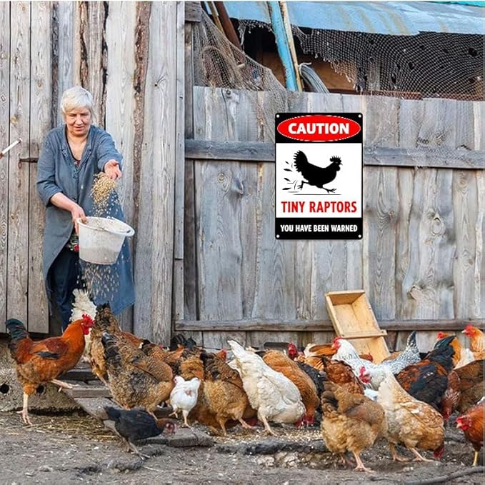 Caution Tiny Raptors Sign Aluminum Chicken Coop Signs for Farm Kitchen Rooster Hen House Decor Beware of Chicken Signs for Chicken Lady Lovers, 12x16inches