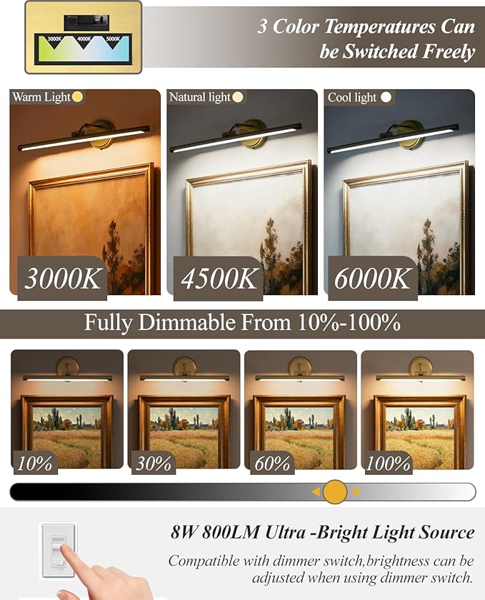 Hardwired Picture Lights for Wall, Modern Metal Picture Frame Light, 3CCT