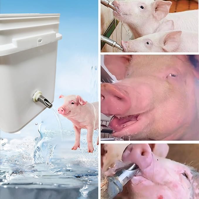 3 PCS Pig Nipple Waterer for Barrel Kit Automatic Pig Waterer System 1/2 inch Stainless Steel Pigs Drinker Feeder with Water Tank Connectors Hog Water Nipples for Sows Piglet (3pcs, one Size)