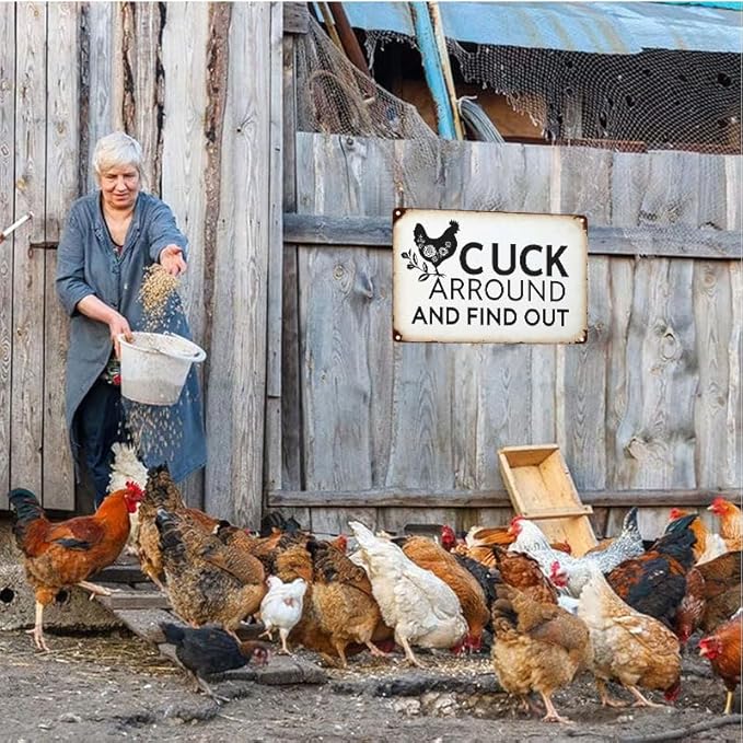 Funny Chicken Gifts Chicken Cluck Around and Find Out Tin Sign for Home Farm Chicken Coop Farmhouse Kitchen Garden Decor 12 X 16 Inch