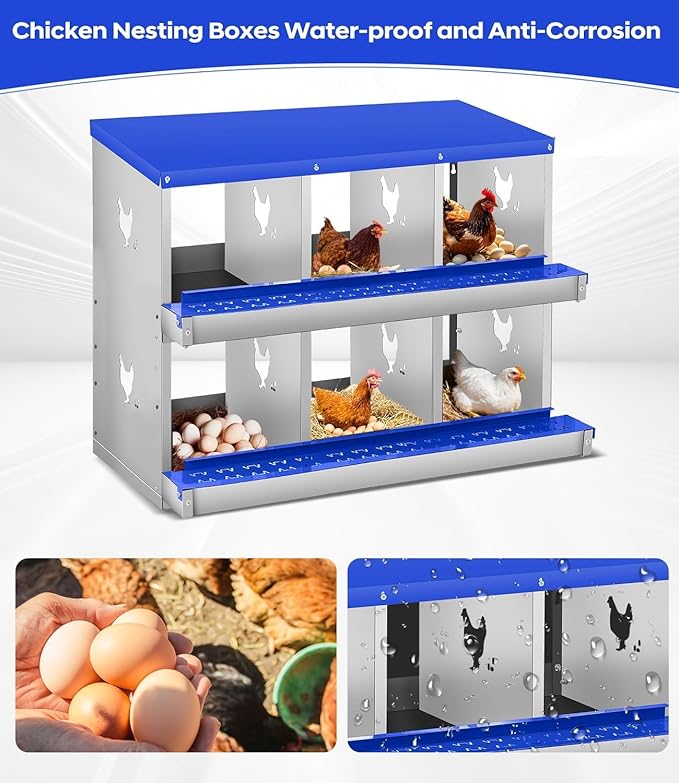 Chicken Nesting Box, 6/8/10 Compartment Metal Nesting Box,Wall Mount Chicken Nesting Boxes for Laying Eggs,Easy Egg Collection,6 Room Nest Boxes for Chickens