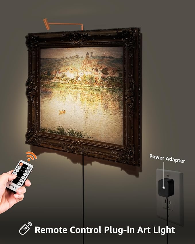 Plug in Picture Light Dimmable Art Lights