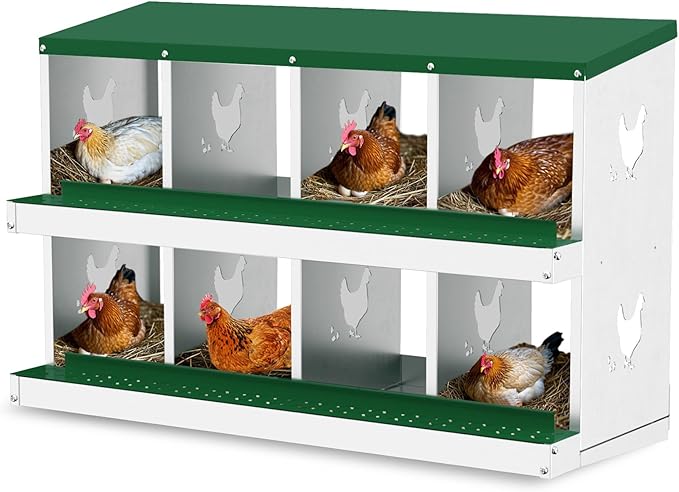 Chicken Nesting Boxes for Hens - 6&8&10 Compartments Roll Away Chicken Laying Boxes with Sturdy Metal Legs & Protective Lid Cover, Durable Galvanized Steel Construction, Easy Clean Design