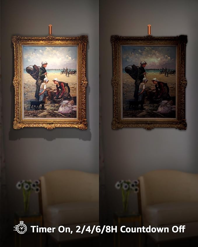 Plug in Picture Light Dimmable Art Lights