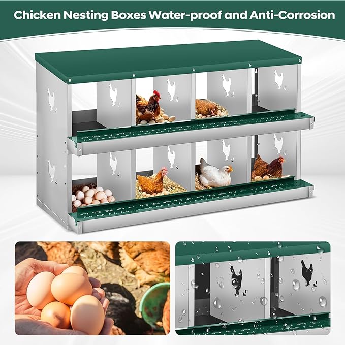Nesting Boxes for Chickens, 8 Compartments, Nesting Boxes with 4 Dummy Eggs and 10 Dampproof Pets Mats, Green, Stainless Steel, Wall-Mountable & Roll Away Design