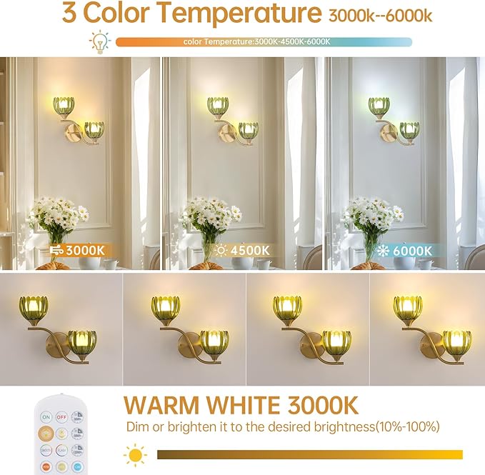 Battery Operated Wall Sconce, 2-Lights Vinatge Brass Wall Lighting