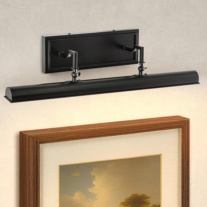 BELS Picture Light for Wall, 24 Inch Black Wall Light Hardwire, Warm Light 2700K