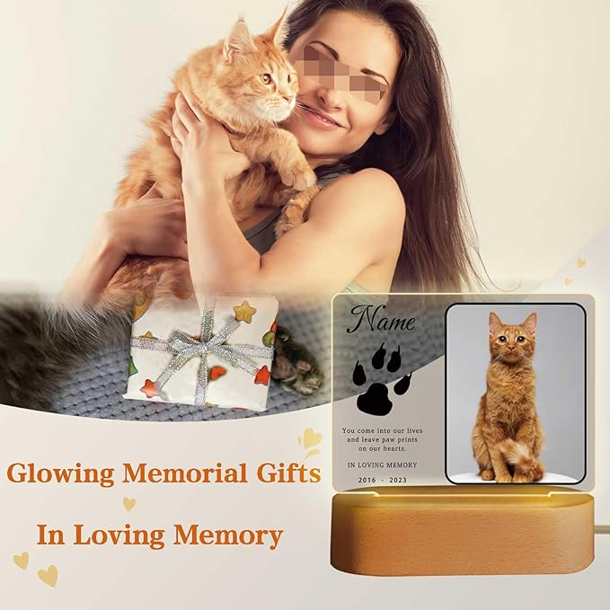 Personalized Pet Night Light Customized Dog Memorial Gift Picture Frame Acrylic