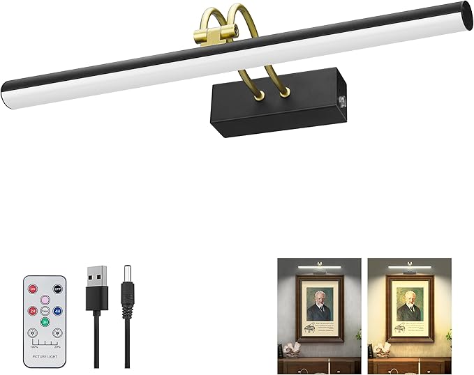 Picture Light, Picture Lights for Wall Cordless, Battery Wall Lights for