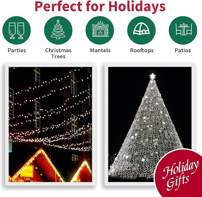 LAMPHOME 60 Count Cool White -String Lights