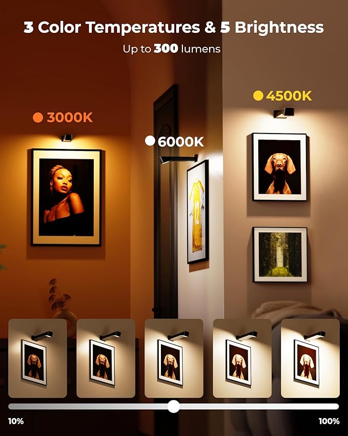 3 Pack Picture Lights for Wall