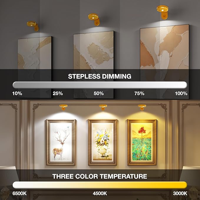Picture Lights for Wall Wireless