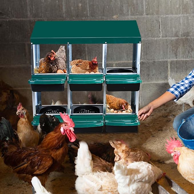 6 Compartment Metal Chicken Nesting Box – Roll Away Design with Lid, Easy Egg Collection, Wall Mount Hen Roosting Nest Box – Green (Without Bracket Legs, 6 Compartment Egg Laying Box)