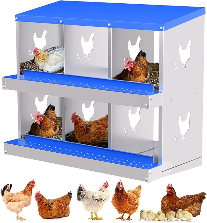Nesting Boxes for Chickens, Chicken Coop Laying Boxes for Hens with Egg Rollaway System to Protect Eggs, 6/8/10-Hole Galvanized Steel Chicken Nesting Boxes Backyard Farm, Easy to Clean