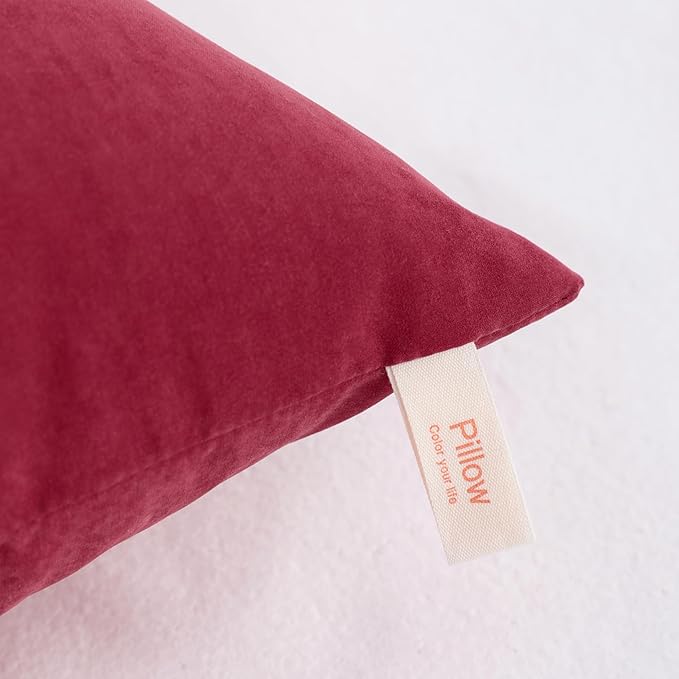 NTBAY Toddler Pillows, Down Alternative 13"x18" Pillows, Machine Washable - Soft and Breathable Travel Small Pillows for Sleeping, Ideal for Daycare, Crib, Cot, Red