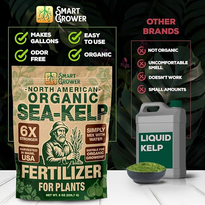 Organic Sea Kelp Fertilizer for Plants – Water-Soluble – Makes 200 Gallons – Kelp Meal Concentrate Plant Food – for Indoor Gardens, Hydroponics, Vegetables, Houseplants - Smart Grower - 8oz Bag