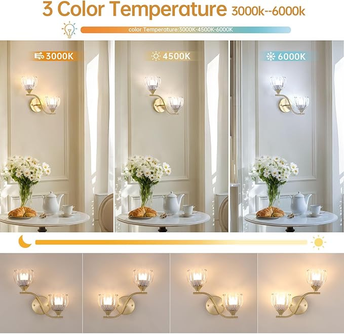 Battery Operated Wall Sconce, 2-Lights Vinatge Brass Wall Lighting