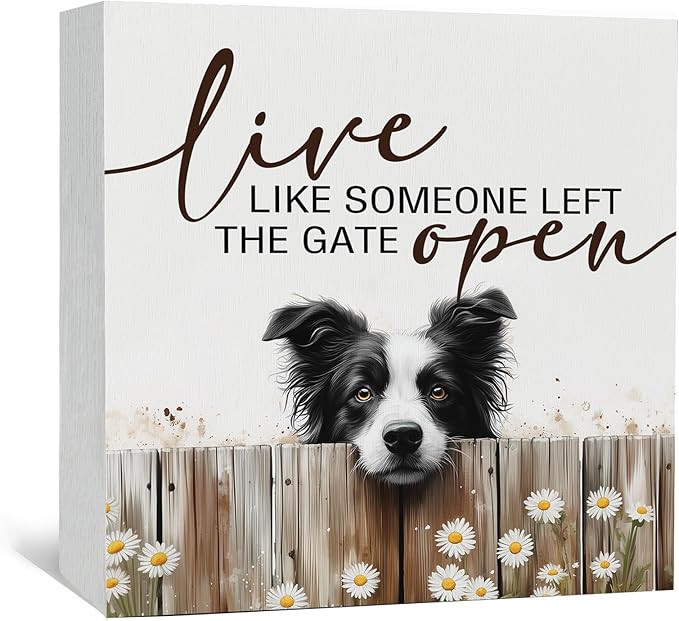 Border Collie Signs - Farm Cottagecore Animal Office Kitchen Bedroom Decor,Rustic Farmhouse Live like Someone Left the Gate Open Home Decor Wooden Signs,Border Collie Gifts for Women,8x8