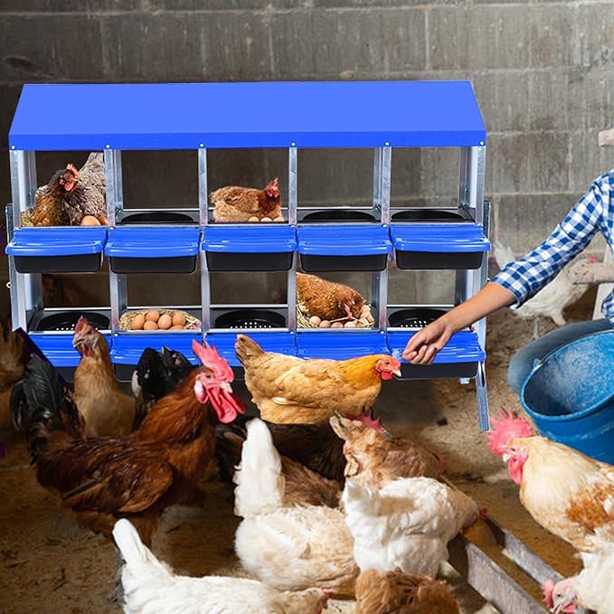 [10-Pack] Chicken Nest Box for Hens - Galvanized Steel Wall-Mounted or Freestanding Chicken Nest with Ventilation Holes - Poultry Box with Legs for Egg Laying (Blue)