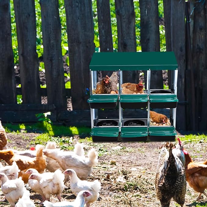 6 Compartment Metal Chicken Nesting Box – Roll Away Design with Lid, Easy Egg Collection, Wall Mount Hen Roosting Nest Box – Green (Without Bracket Legs, 6 Compartment Egg Laying Box)