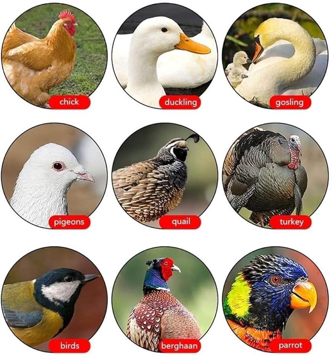56 Egg Incubator Automatic Turning Digital Poultry Hatcher Temperature Humidity Control Built-in LED Egg Candler,for Chicken Duck Goose