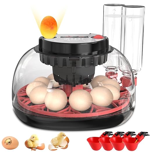 12 Egg Incubator with Auto Turner, Built-in Candler & Humidity Display, Suitable for Hatching Chicken Duck Quail Bird