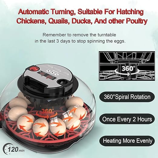 12 Egg Incubator with Auto Turner, Built-in Candler & Humidity Display, Suitable for Hatching Chicken Duck Quail Bird