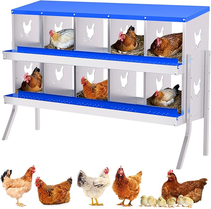 Nesting Boxes for Chickens, Chicken Coop Laying Boxes for Hens with Egg Rollaway System to Protect Eggs, 6/8/10-Hole Galvanized Steel Chicken Nesting Boxes Backyard Farm, Easy to Clean
