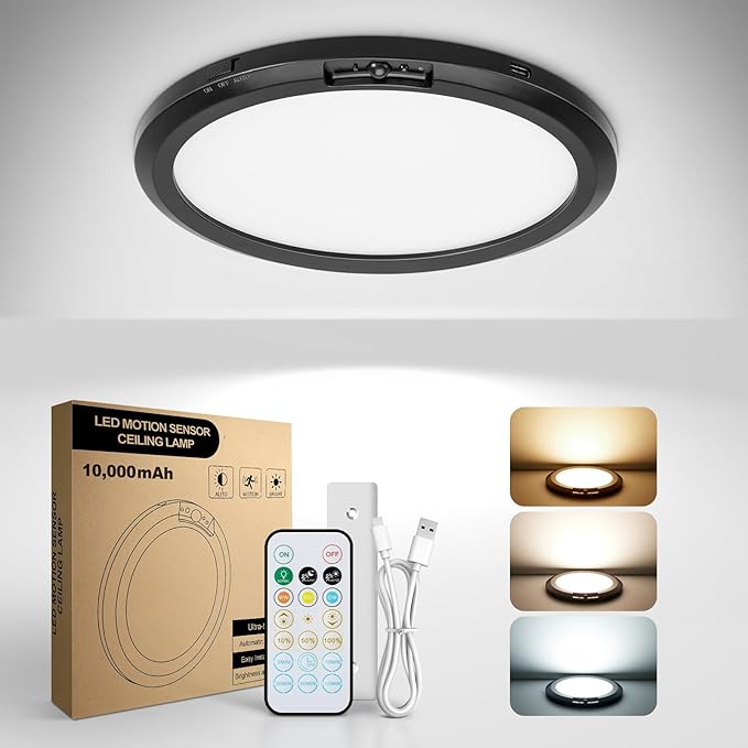 10, 000mAh Rechargeable Ceiling Light