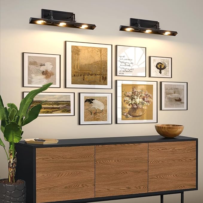 BELS Picture Light for Wall, 24 Inch Black Wall Light Hardwire, Warm Light 2700K