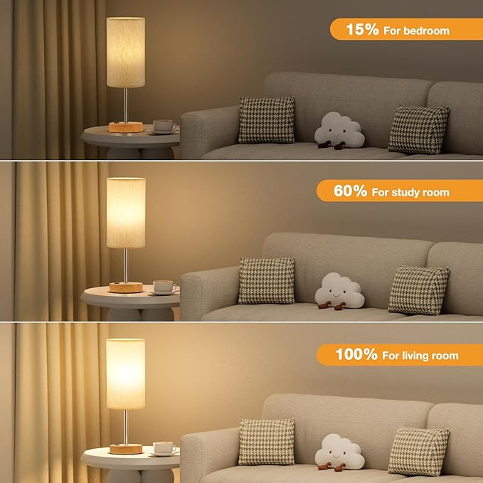 Fenmzee Touch Table Lamp