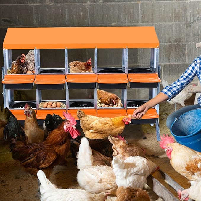 [10-Pack] Chicken Nest Box for Hens - Galvanized Steel Wall-Mounted or Freestanding Chicken Nest with Ventilation Holes - Poultry Box with Legs for Egg Laying (Orange)