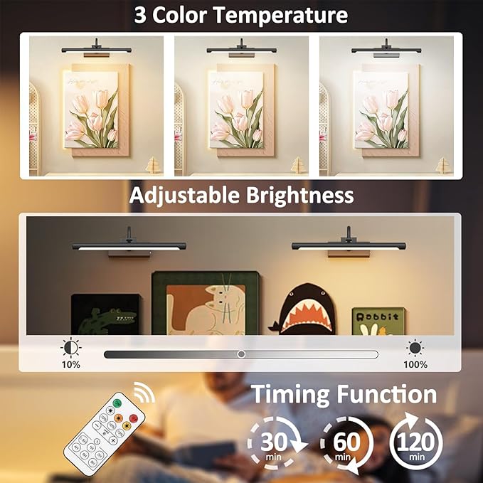 Aipsun 15.7" Black Picture Lights