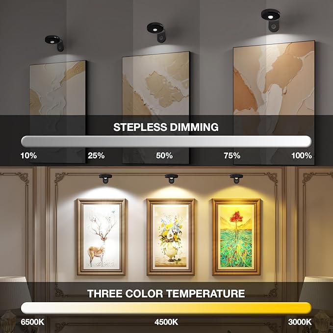 Picture Lights for Wall Wireless