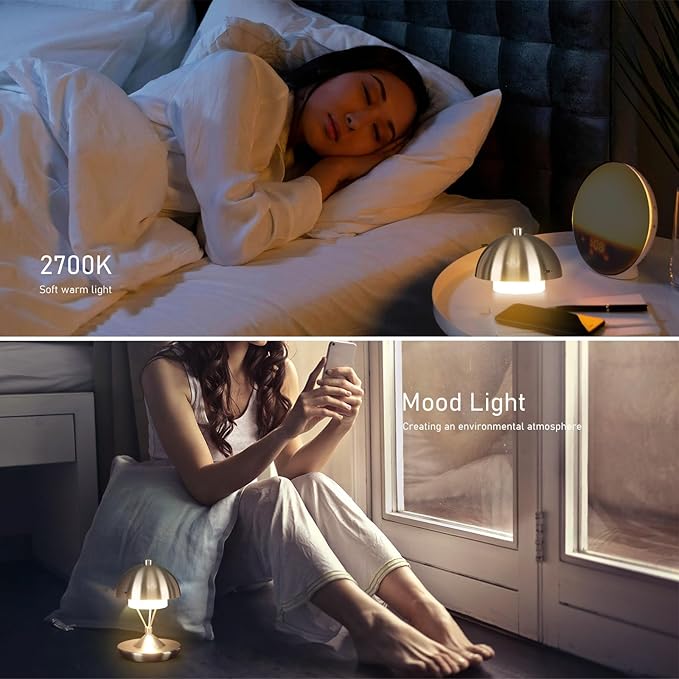 Modern Table Lamp Cordless Portable Desk Lamp, 2700K Stepless Dimming