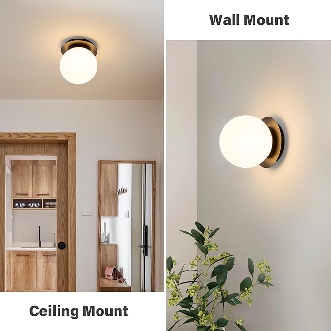 Modern Glass Globe Wall Sconce: Black Single Light