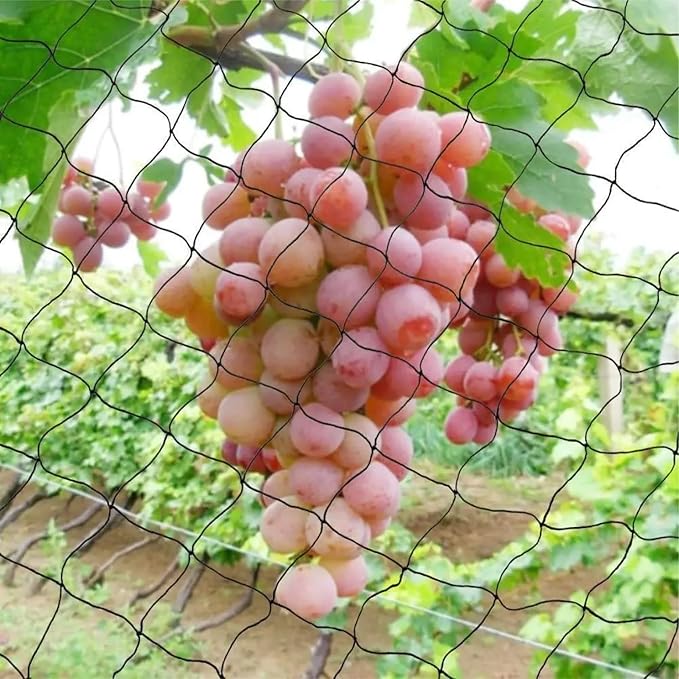 Nylon Mesh Anti Bird Netting [50 X 50] ft - Protect Fruit Trees, Chickens, Gardens & Aviaries (Pack of 2)