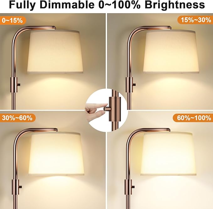 Ambimall Fully Dimmable Floor Lamp