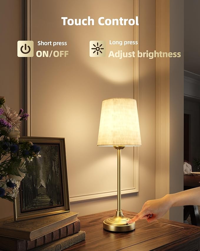 EZVALO Wireless Lamp, Ambient Light, Touch Control, Battery Operated, Desk Lamp