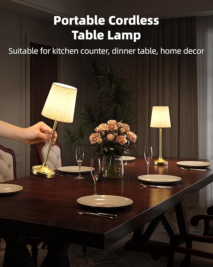 EZVALO Wireless Lamp, Ambient Light, Touch Control, Battery Operated, Desk Lamp