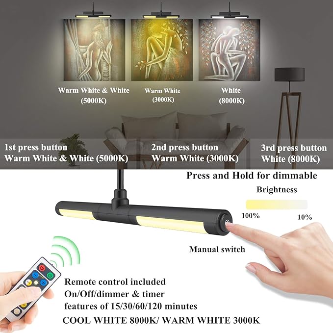 BIGMONAT Rechargeable Picture Light