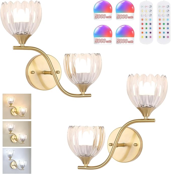 Battery Operated Wall Sconce, 2-Lights Vinatge Brass Wall Lighting